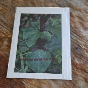 St. Patrick's Day Greeting Card NEW